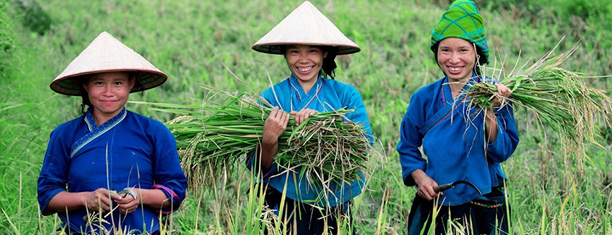 Footprint Travel launches 2015 Vietnam and Indochina adventure brochure