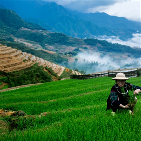 The  Hmong's Panorama - Sapa 2 Days