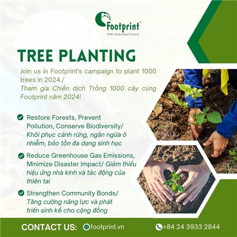 Join Footprint's Tree Planting Campaign: 1000 Trees in 2024!