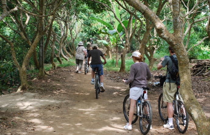 mekong delta fruit orchard cycling 