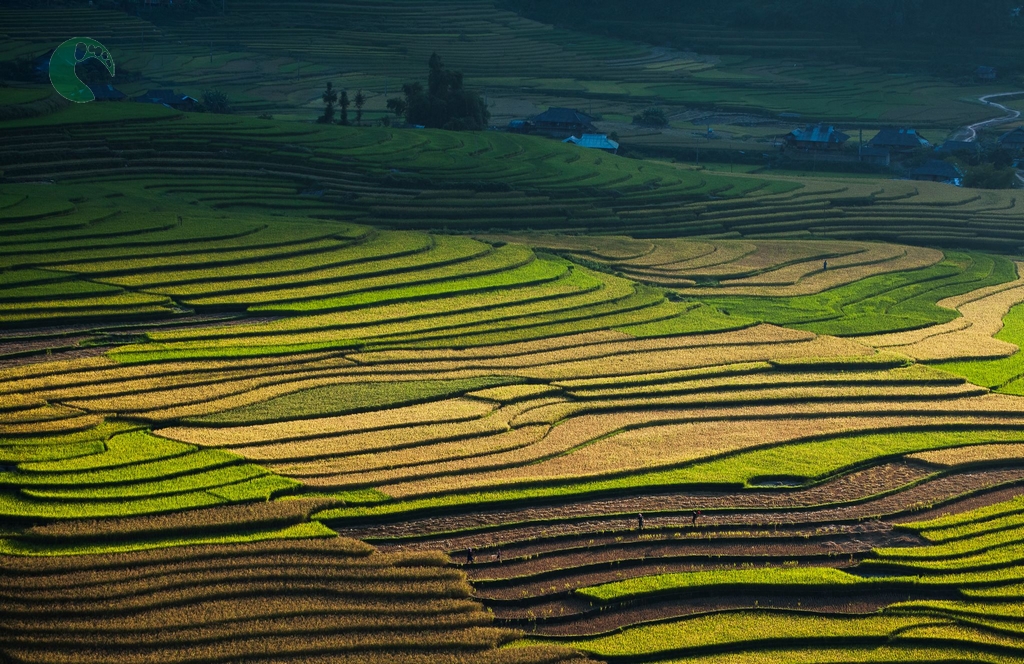 sapa Travel tips: 10 Top Tourist Attractions in Vietnam