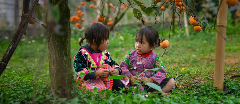 The Hmong’s Panorama