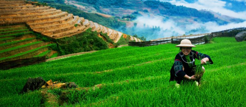 A 2017 Guide To Travel Trends Across Vietnam