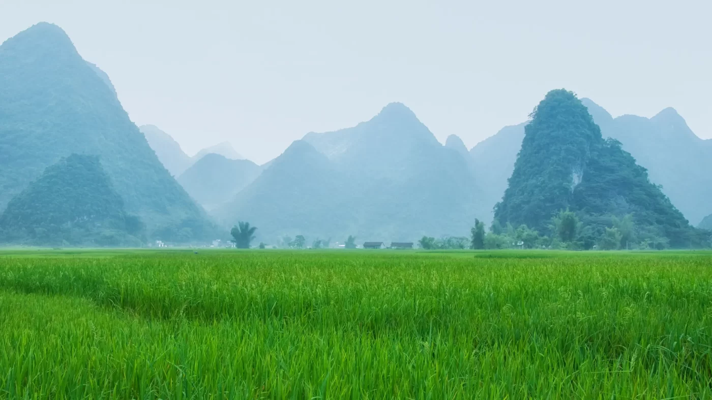 Vietnam Ban Gioc Waterfall Travel Guide-2