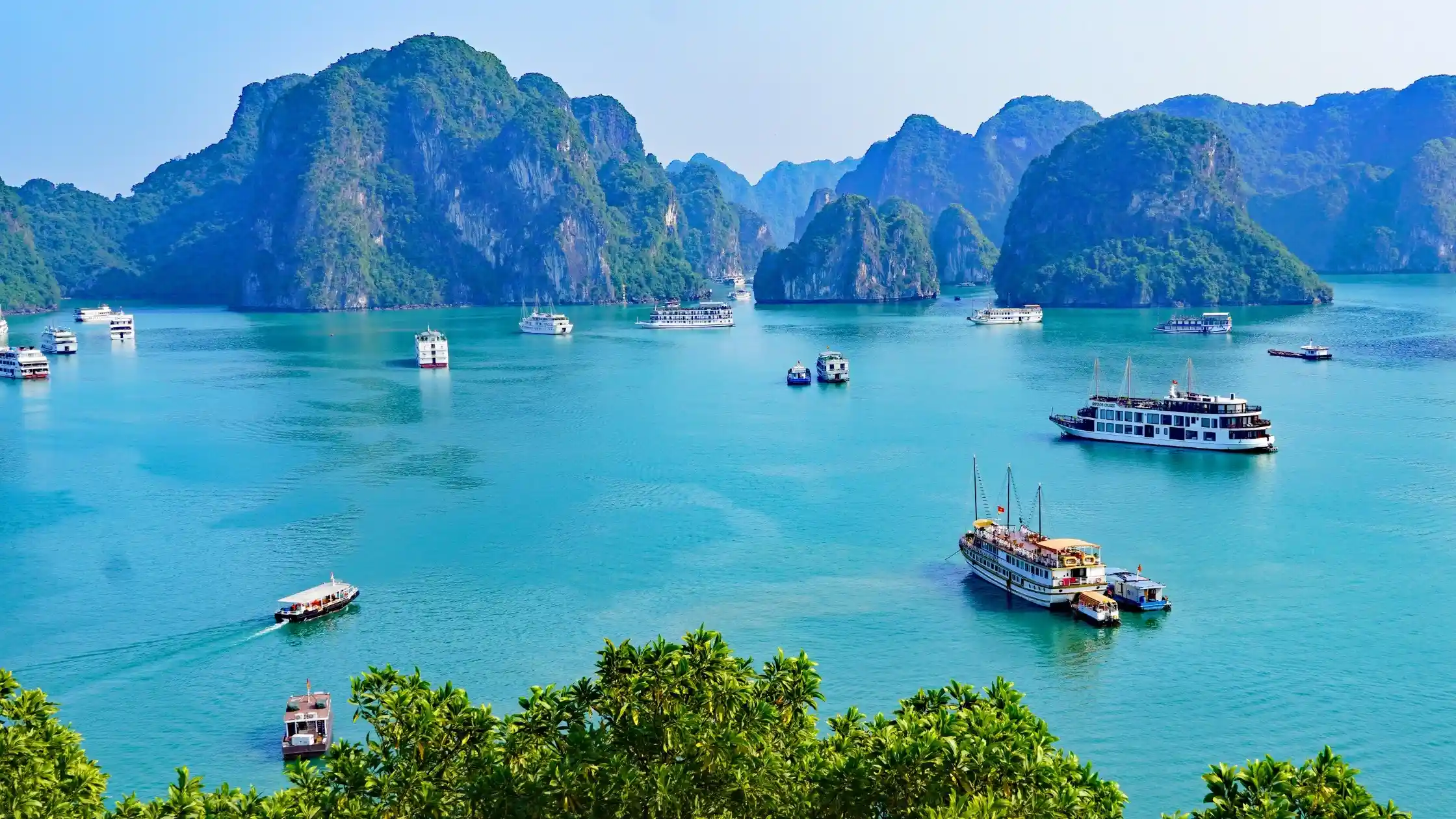 Blog: A national treasure: Bai Tu Long Bay