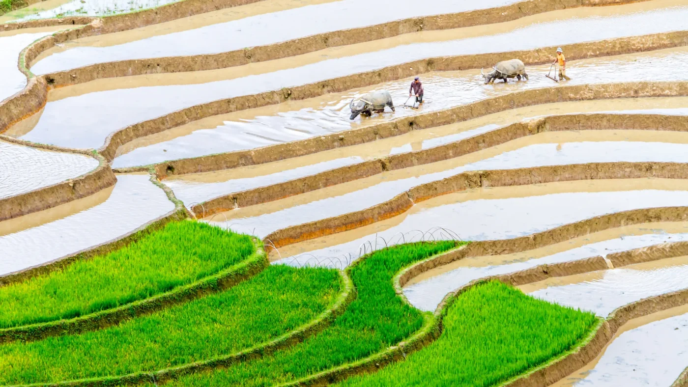 Agricultural-tourism-in-Vietnam-14