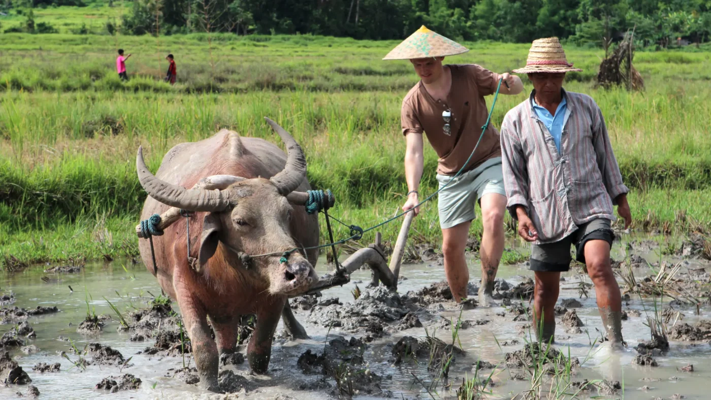 Agricultural tourism in Vietnam-6 