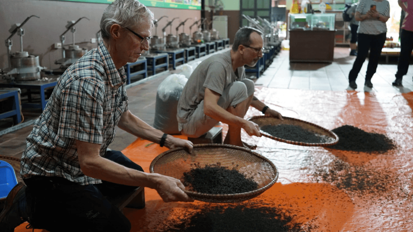 Thai Nguyen Tea Plantation-2