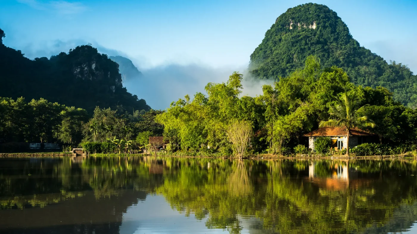 Thai-Nguyen-Tea-Plantation-6