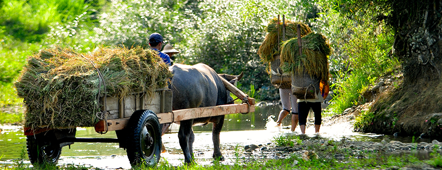 Rural-life-Pu-Luong