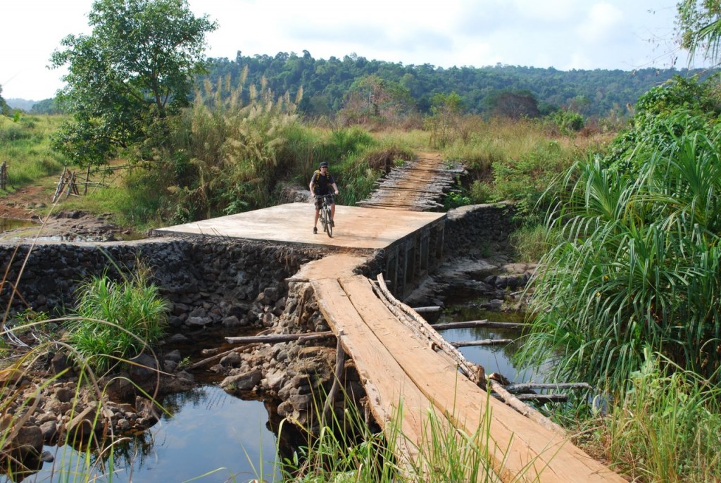 Movetocambodia, 2011