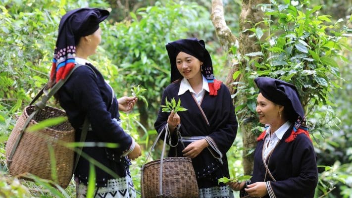 Local Delights: Explore the Dao's Rich Culture