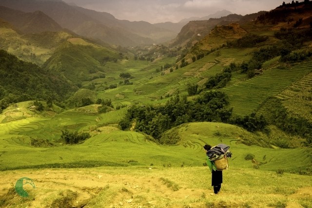 Sapa Summer travel has its own advantages 