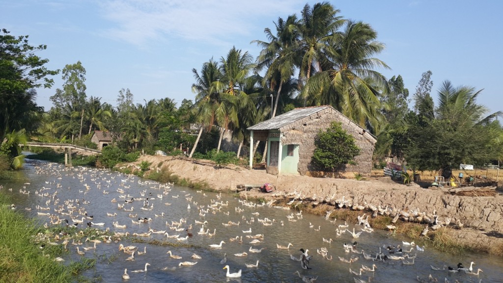 Route Tra Vinh-Ben Tre..