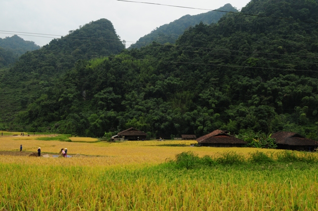 Cao Bang 