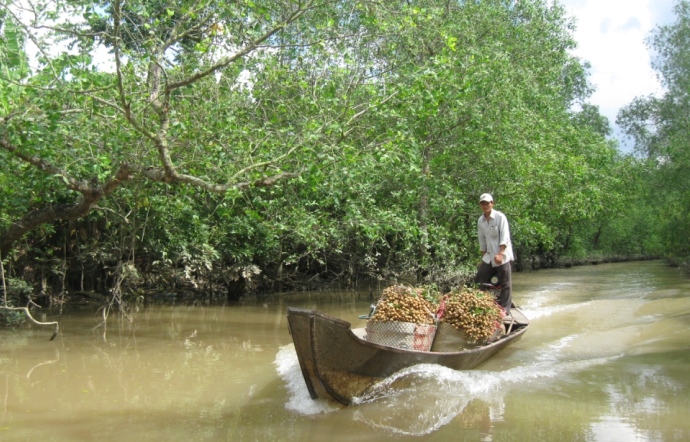 mekong delta 