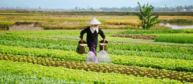 Top villages around Hanoi