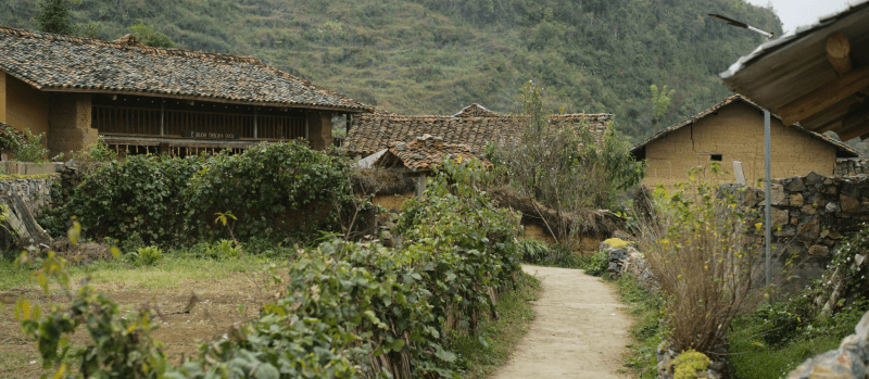 Discover the breathtaking karst landscapes of Ha Giang, where winding mountain roads, vibrant buckwheat flower fields, and the Hmong culture create an unforgettable experience in Vietnam’s northernmost region.