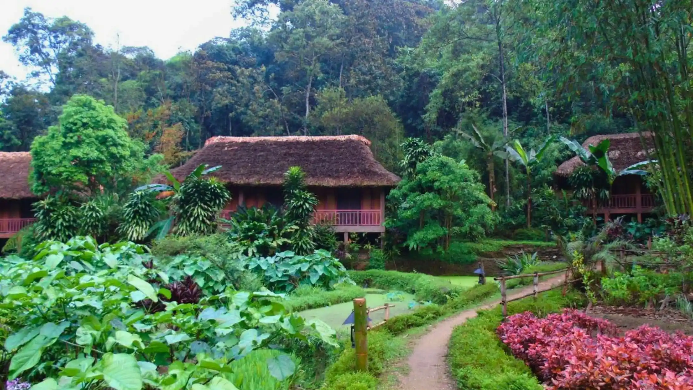 Blog: Eco unique hotels in Vietnam