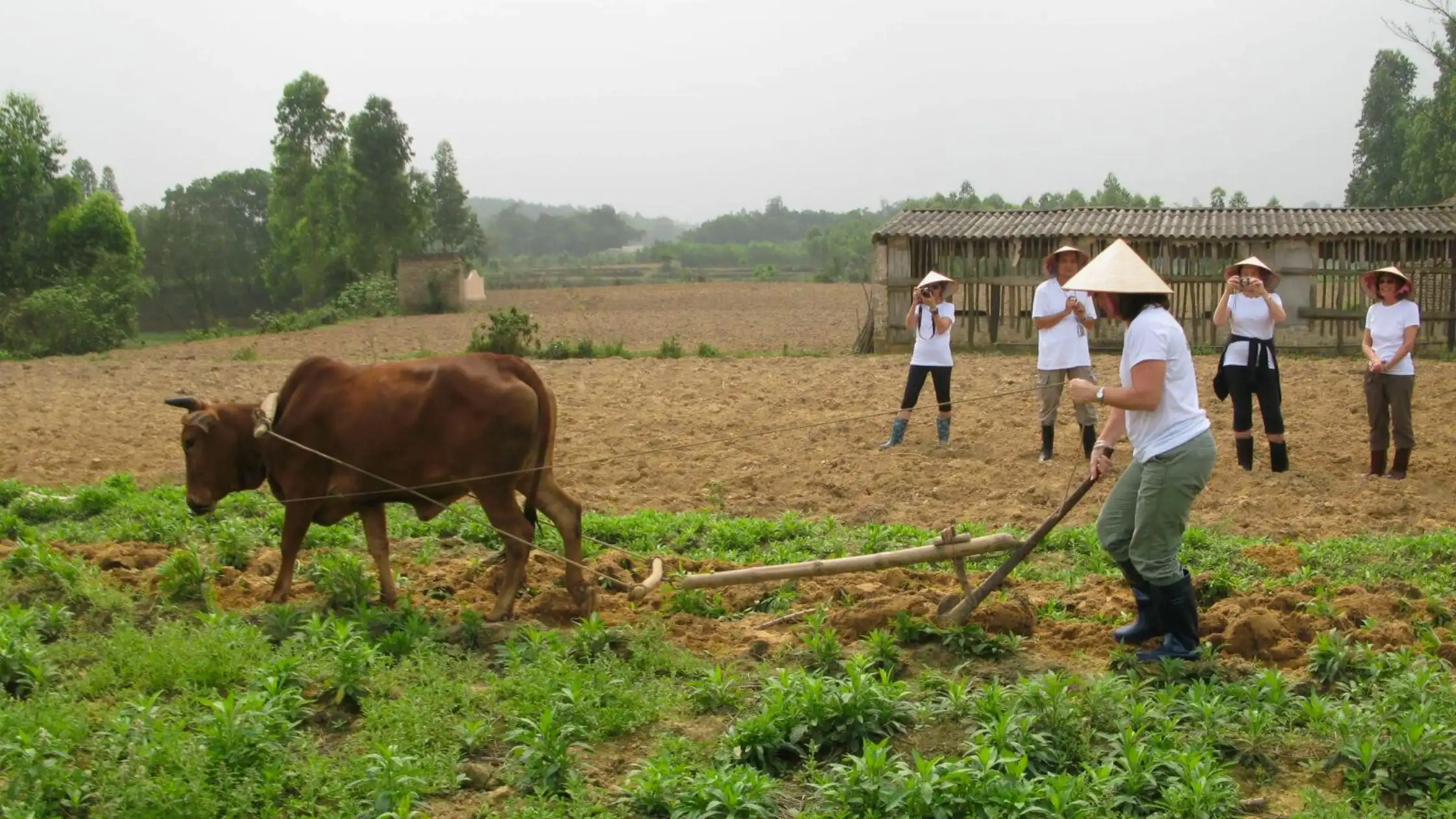 Blog: Eco unique hotels in Vietnam