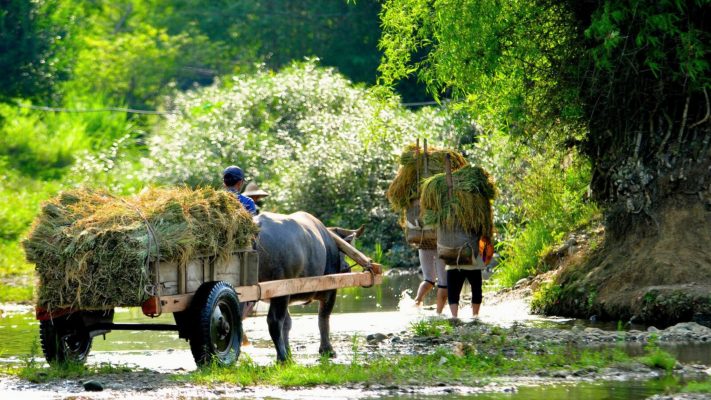 Top Vietnam Destinations for Photographers