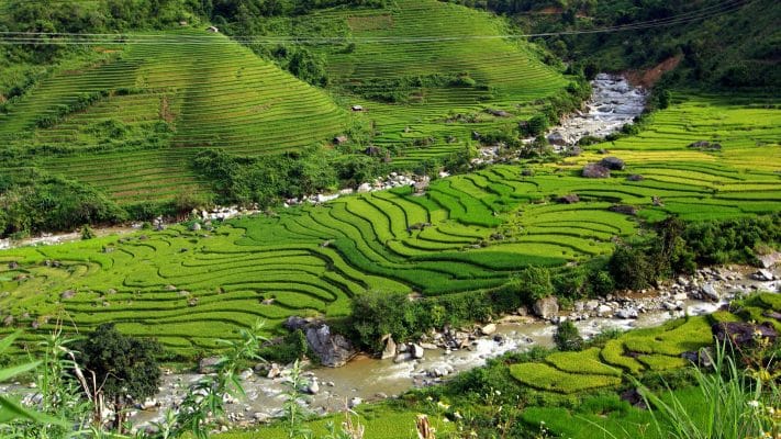 Our Guest’s Top 5 Favorite Adventures