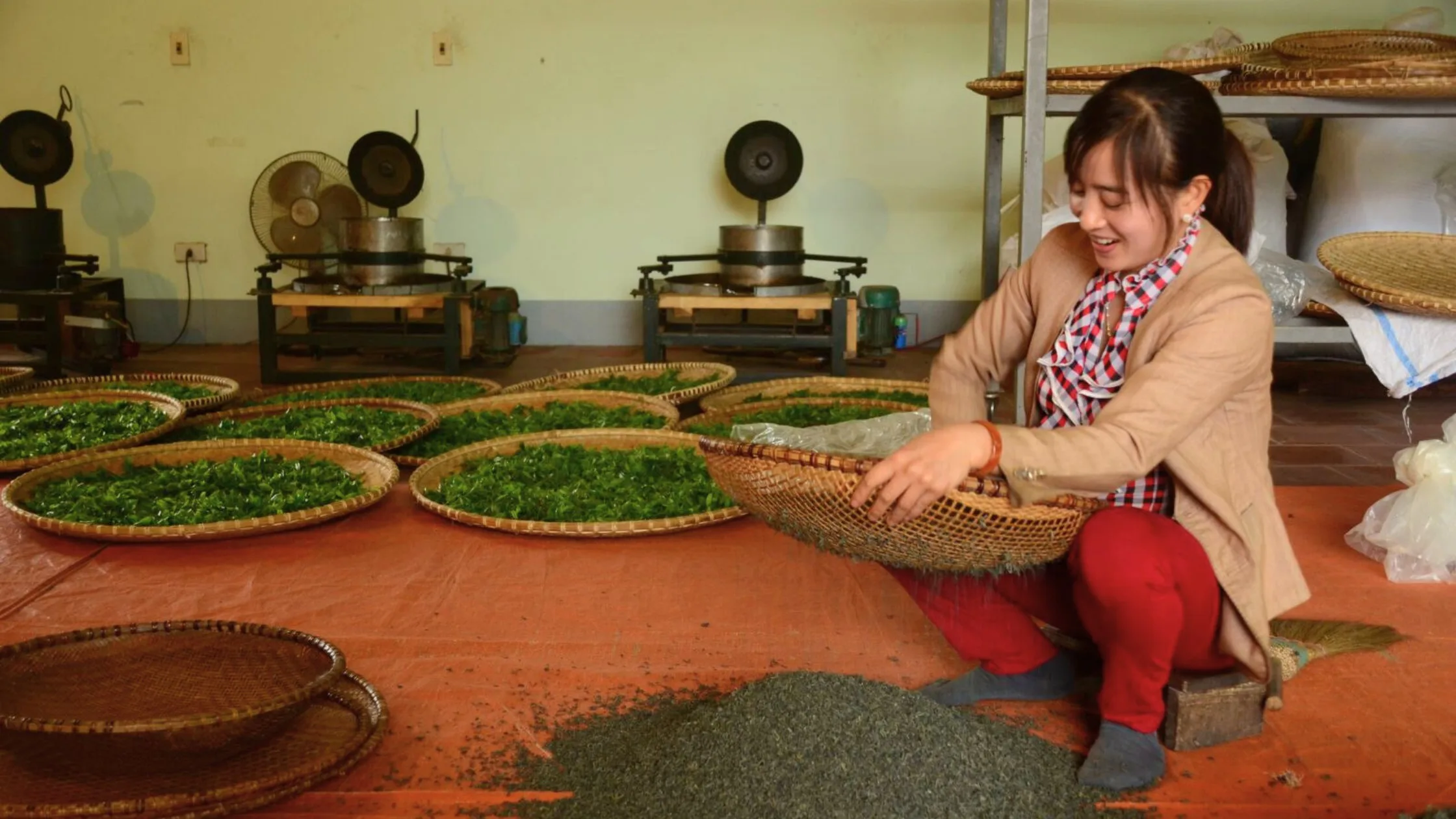 8 Things to do in Thai Nguyen Tea Plantation-2