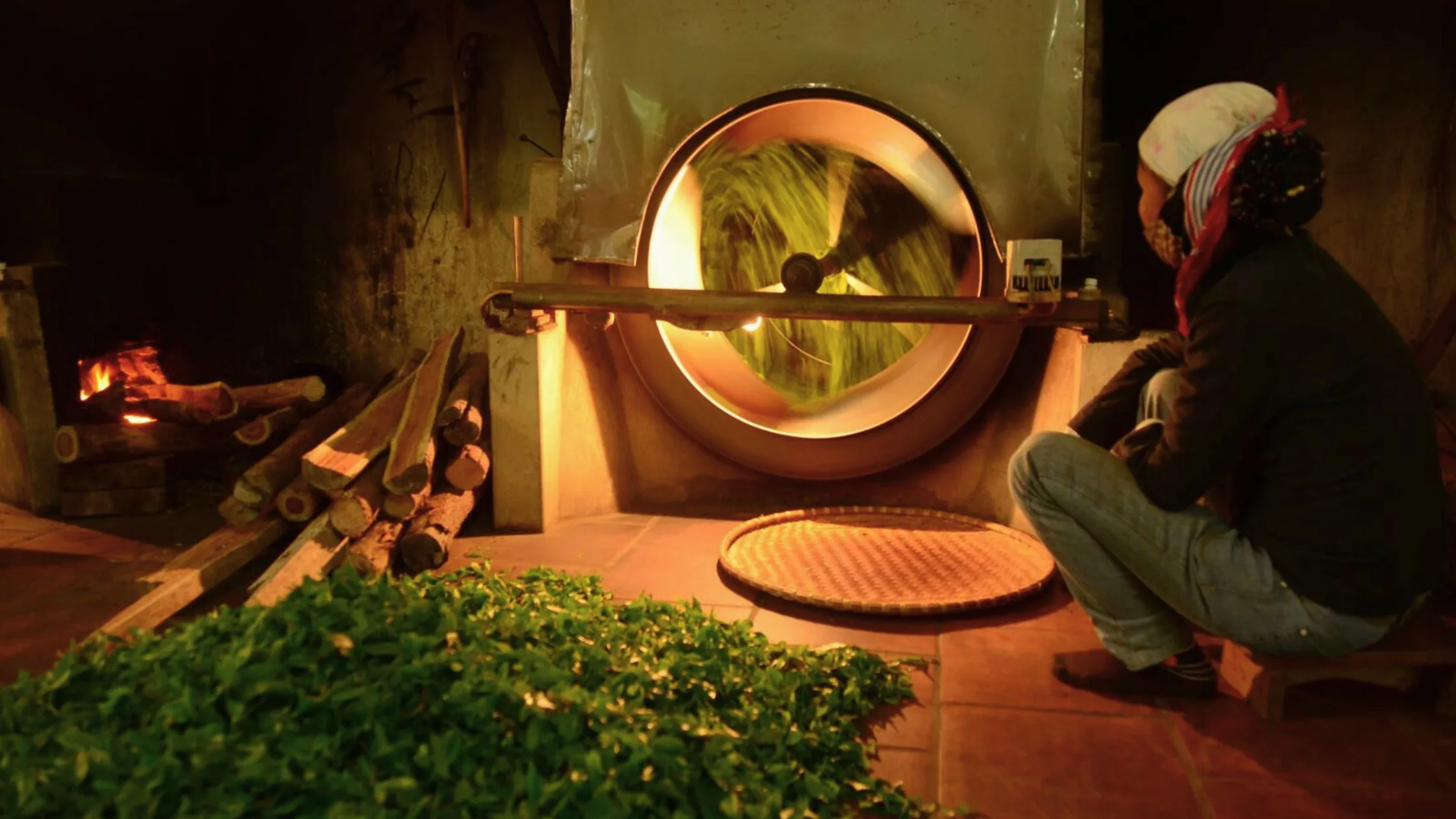 8 Things to do in Thai Nguyen Tea Plantation-3