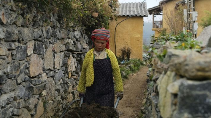 Coming back from trip to Ha Giang