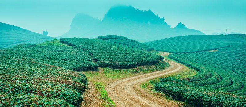 My favorite trail marathons in Vietnam