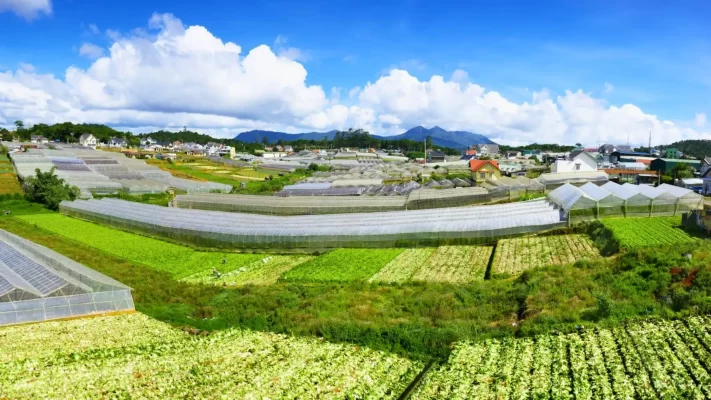 Blog: Agricultural Tour In Vietnam – More Than Just Rural Tourism