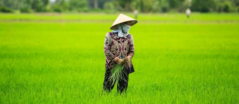 Blog: Agricultural Tour In Vietnam – More Than Just Rural Tourism