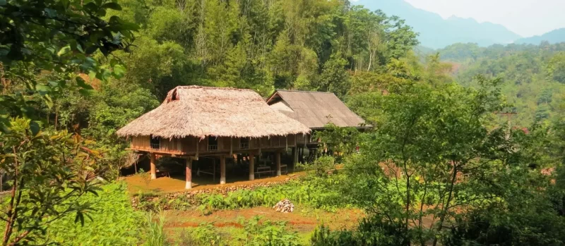 Blog: Homestay types - what to expect?