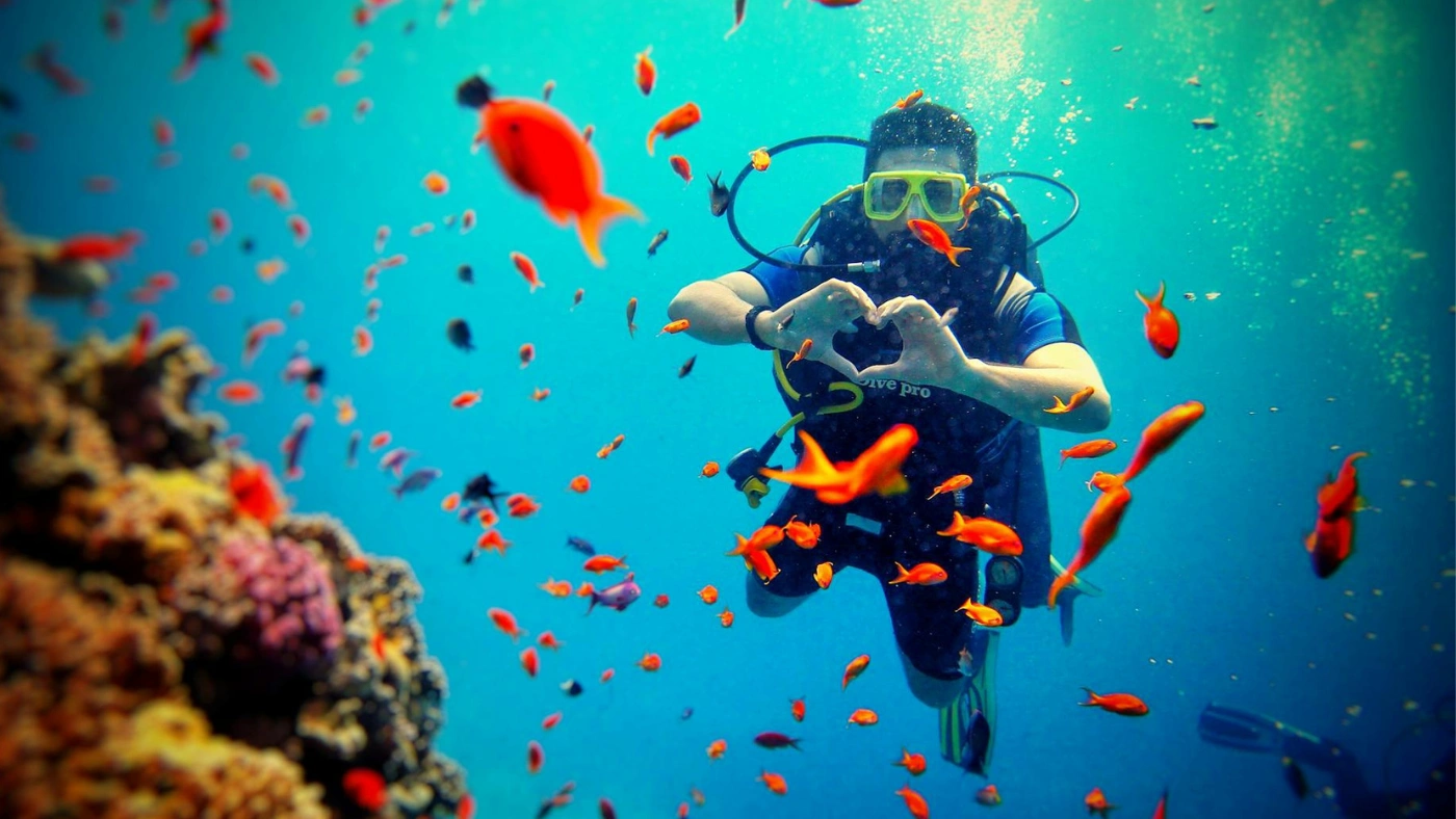 Vietnam’s variety of dive sites keeps each experience fresh and rewarding