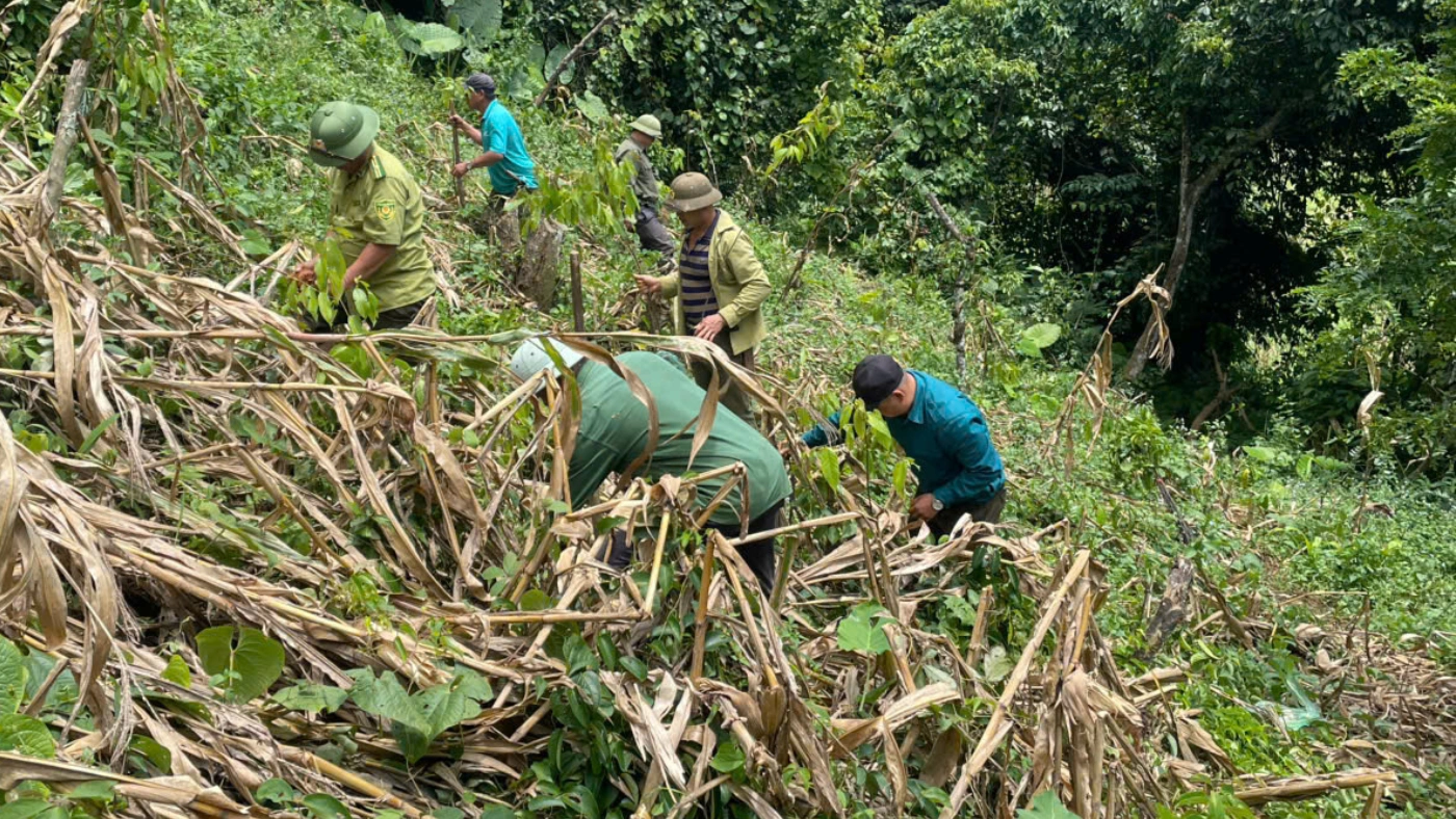 Footprint-Travel_Tree-Planting-03