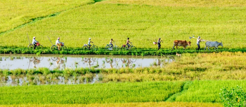 vietnam-tour-safety-risk-management-banner