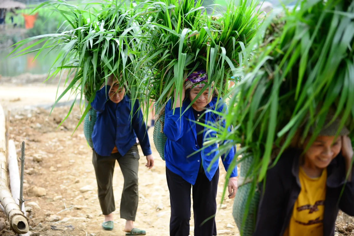 Responsible-travel-in-Vietnam-3