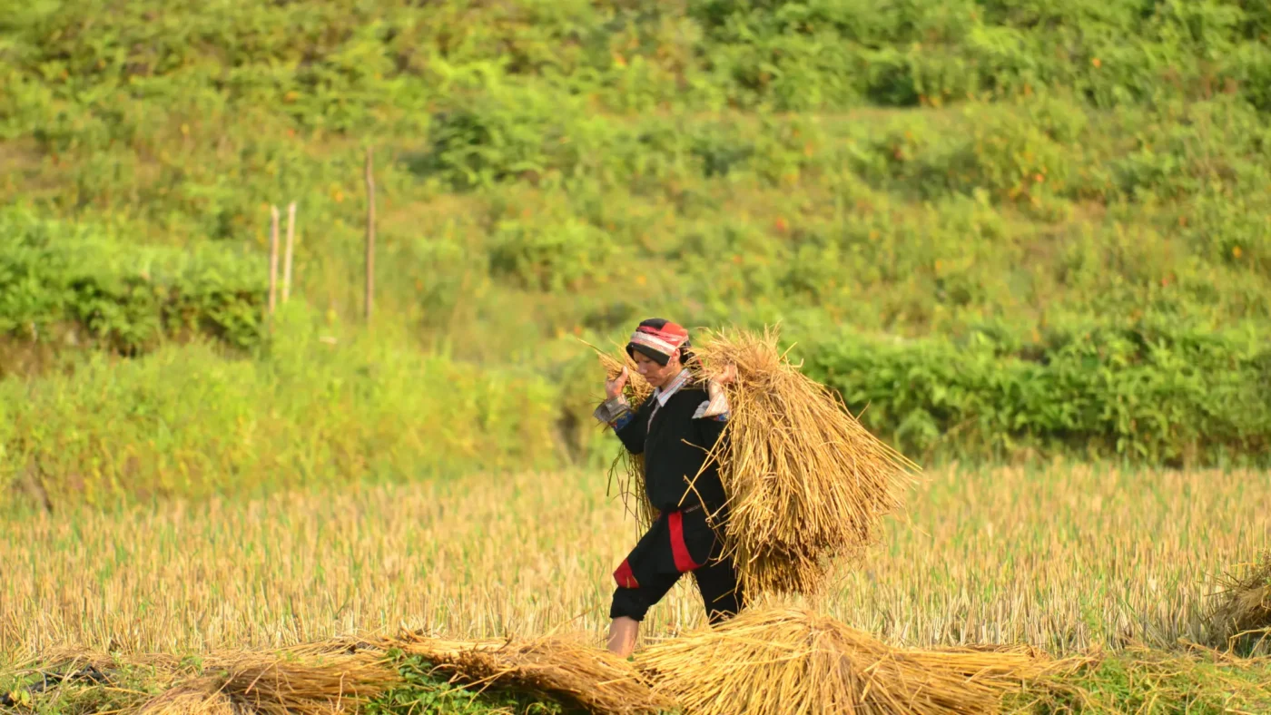 vietnam-private-tours-06