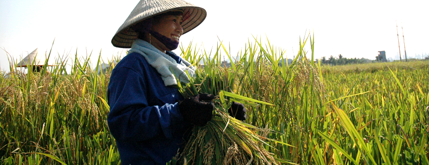 Agricultural Tour In Vietnam – More Than Just Rural Tourism